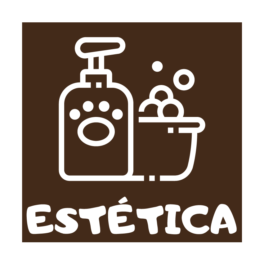 Estética